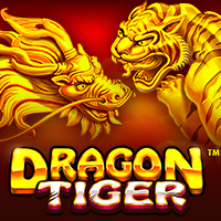 https://winbet303.site/assets/img/games-image/vs1024dtiger.png