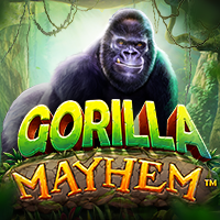 https://winbet303.site/assets/img/games-image/vs1024gmayhem.png