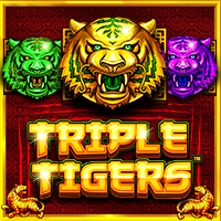 https://winbet303.site/assets/img/games-image/vs1tigers.png