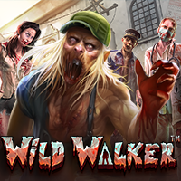 https://winbet303.site/assets/img/games-image/vs25walker.png